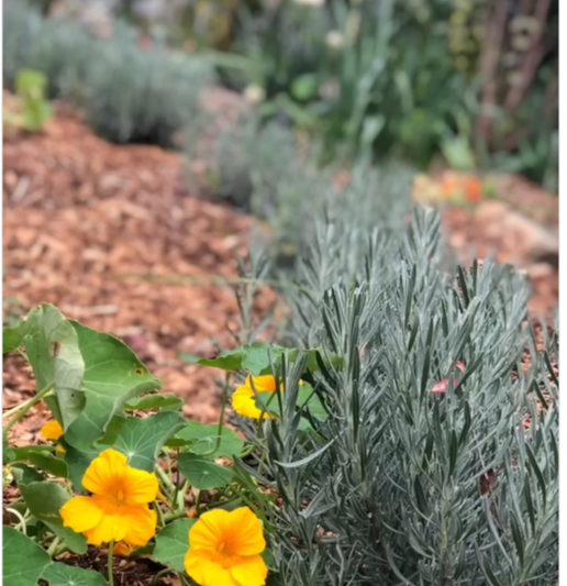 Eco Home Experience on Instagram